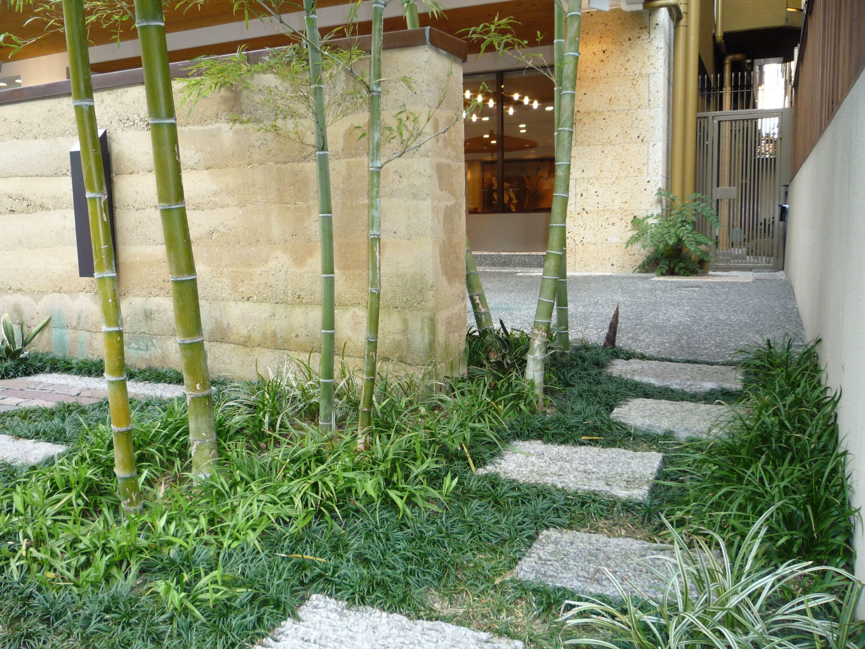 Kinparo — Photos 2
